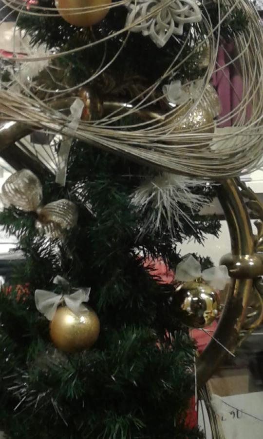 Appartamento Casa Gentilini Dozza Esterno foto